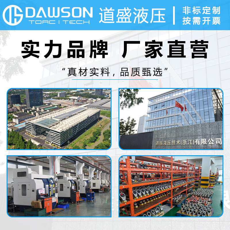 道盛液压扭矩扳手驱动型DS系列精准耐用重型螺母拆卸紧固螺栓