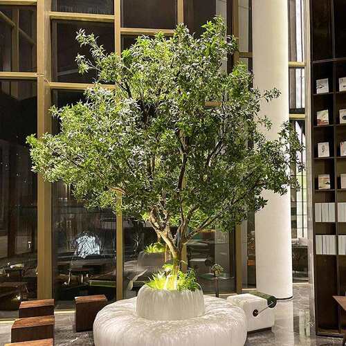 加密马醉木橱窗造景植物室内高端仿真绿植装饰树大型假树简约景观