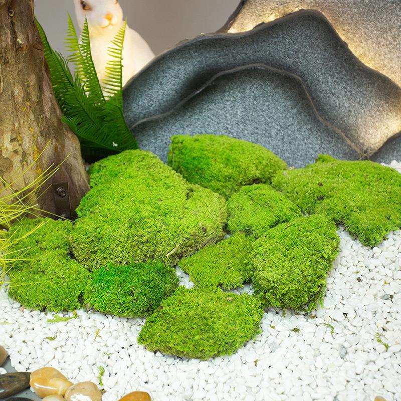 仿真青苔人造草坪室内盆景造景石长草假苔藓植物墙背景装饰微景观