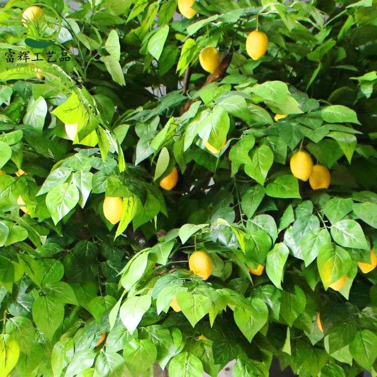 仿真柠檬树假柠檬装扮道具树枝装饰树叶假花仿真花摆件 植物