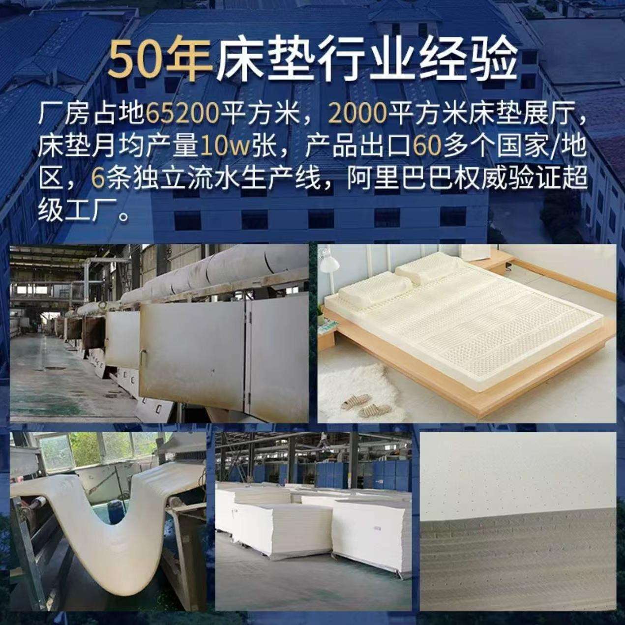 榻榻米乳胶床垫薄款3cm软垫子泰国天然橡胶2cm可折叠任意尺寸