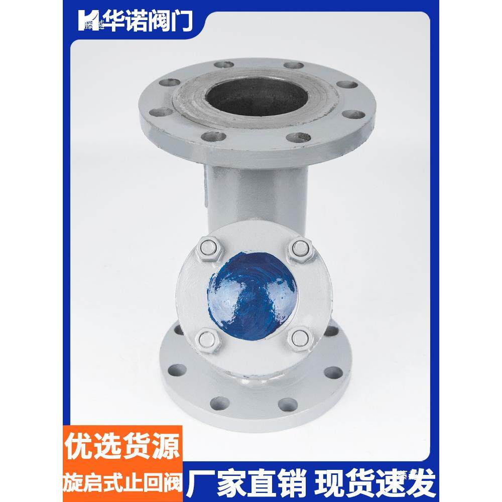 铸钢法兰Y型过滤器GL41H-16C WCB材质 管道除污器DN100 DN50150