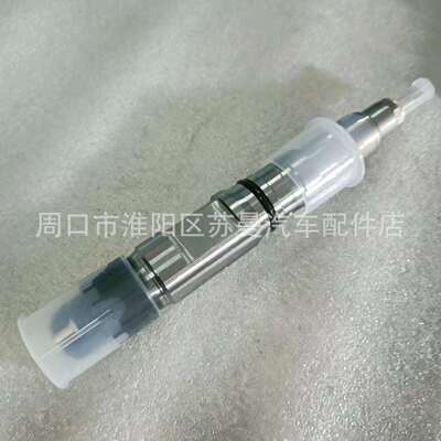 厂家直售共轨喷油器 0445120062