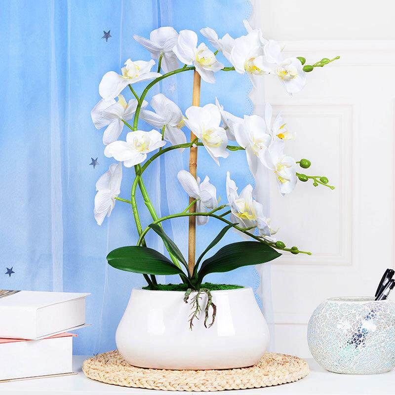蝴蝶兰仿真花套装假花绢花塑料花盆景家居客厅茶几电视柜装饰摆设
