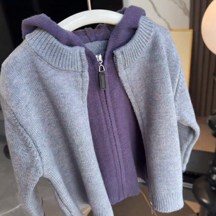 儿童针织开衫外套假两件连帽衫秋冬加厚百搭男童女童紫色毛衣洋气