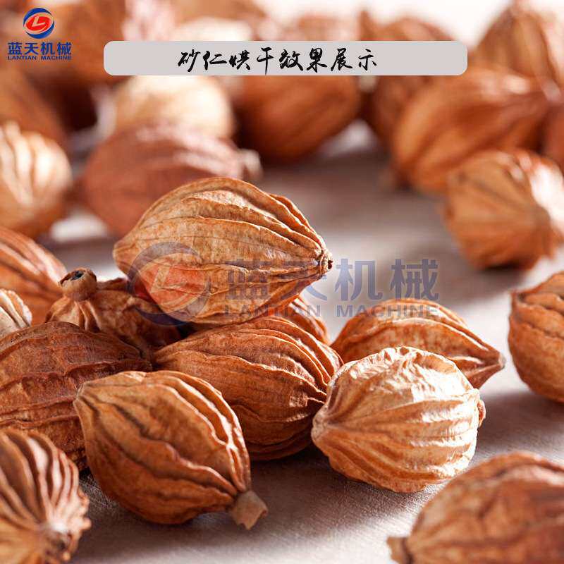 蓝天砂仁烘干机小型 电加热小豆蔻春砂仁烘干机 阳春砂烘干箱厂家