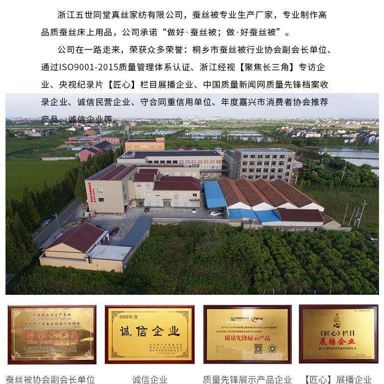 儿童升级双宫桑蚕丝A类宝宝金标丝绵被芯婴幼儿园桐乡蚕丝被冬季