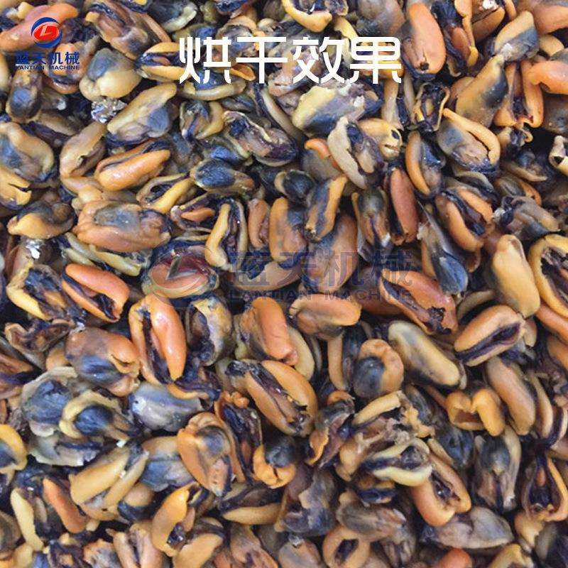 蓝天青螺烘干机空气能 塘螺河螺热泵烘干机 全自动螺蛳肉烘干设备