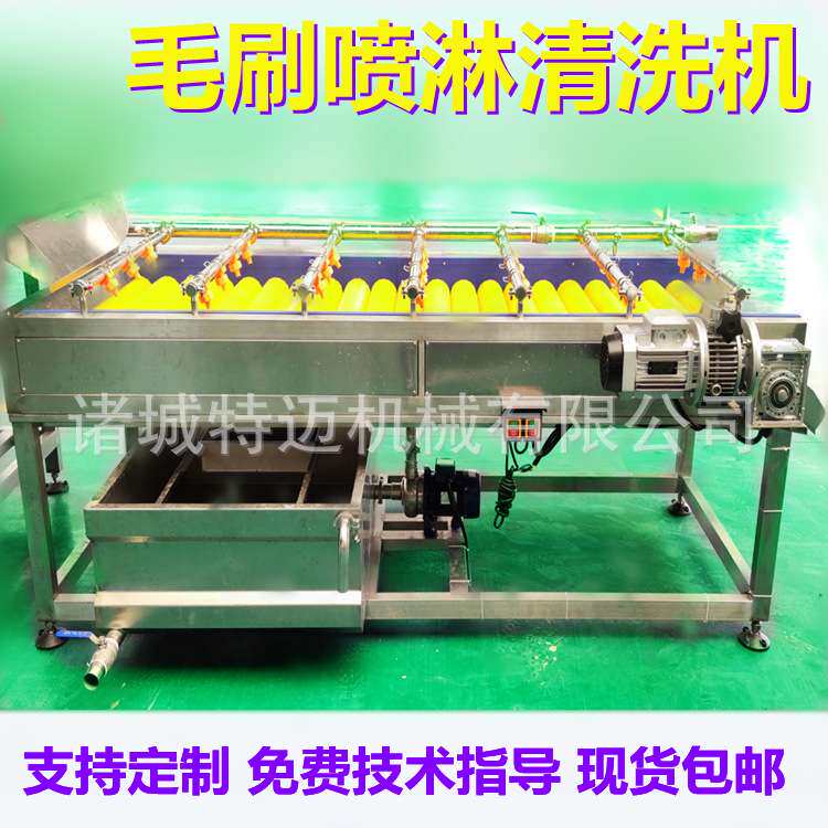 全自动平行式双毛刷粽叶清洗机喷淋式循环水芦苇叶箬竹叶洗叶机器