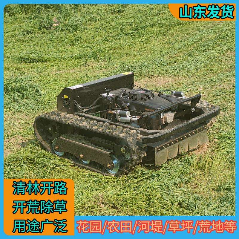 厂家直供割草机 爬坡有劲草坪山地荒草清理修草机 碎草还田打草机