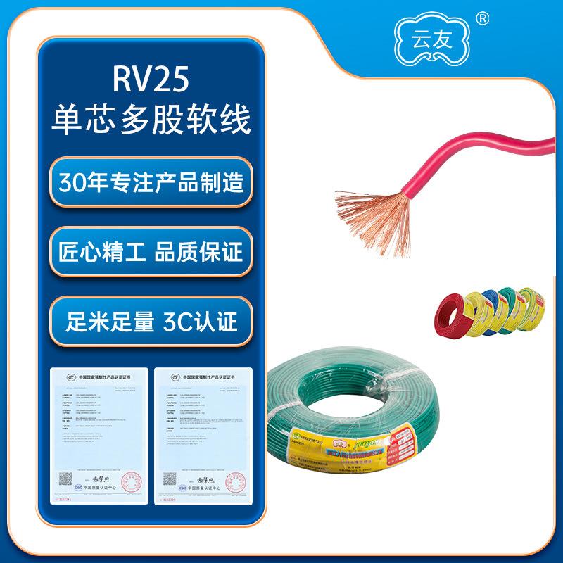 人民线缆RV25平方多股软线国标纯铜电线电缆100米电源线工业优选