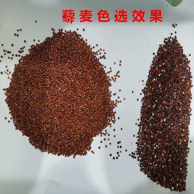 藜麦色选机黑麦杜伦麦色选机筱麦苦荞麦分选燕麦片色选机青稞精选