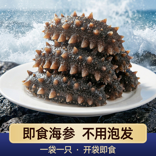 即食海参大连刺参鲜食辽参深海野生鲜活礼盒装送长辈海参礼盒淡干
