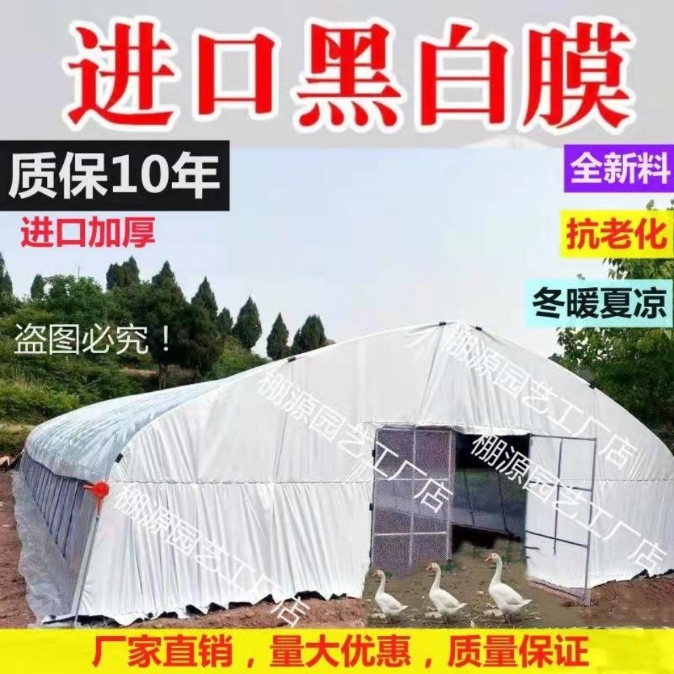 大棚膜黑白膜养殖膜防晒隔热膜食用菌大棚塑料薄膜加厚塑料布篷布