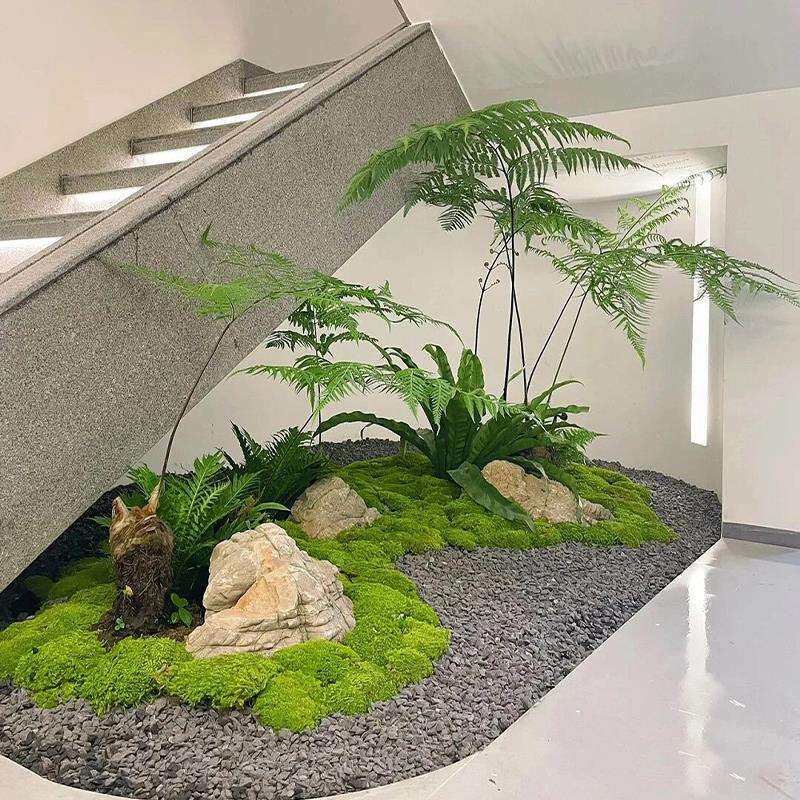 仿真金丝猴头蕨金毛狗蕨假绿植室内微景观造景楼梯下茶室装饰摆件
