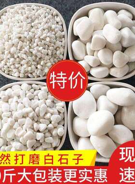 100斤白石子白色鹅卵石庭院造景装饰白石头花园铺地铺路白色砾石