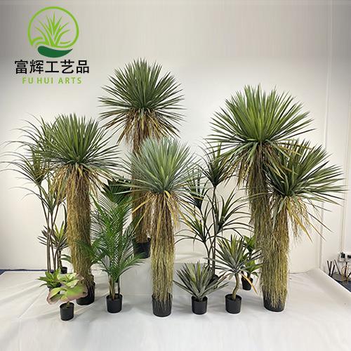 仿真绿植稻草人假植物盆栽蓝长序龙舌兰树室内外装饰丝兰树摆件