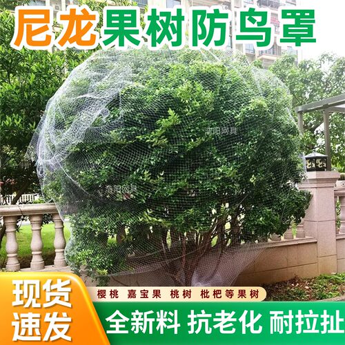 全新尼龙果树防鸟网耐老化