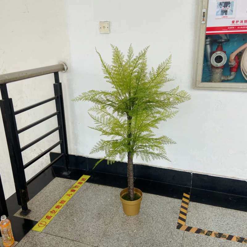 仿真手感凤尾蕨叶蕨草植物墙软装造景插花叶材假绿植波斯草小树