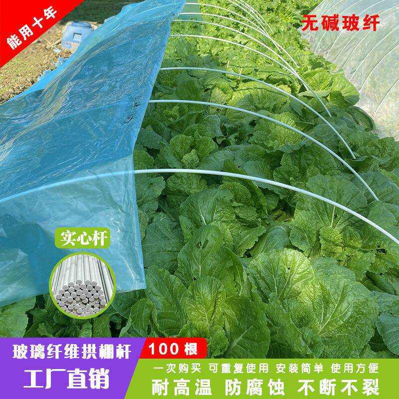 插秧杆子100根玻璃纤维杆小拱棚支架搭棚花棚防虫秧苗蔬菜玻璃纤