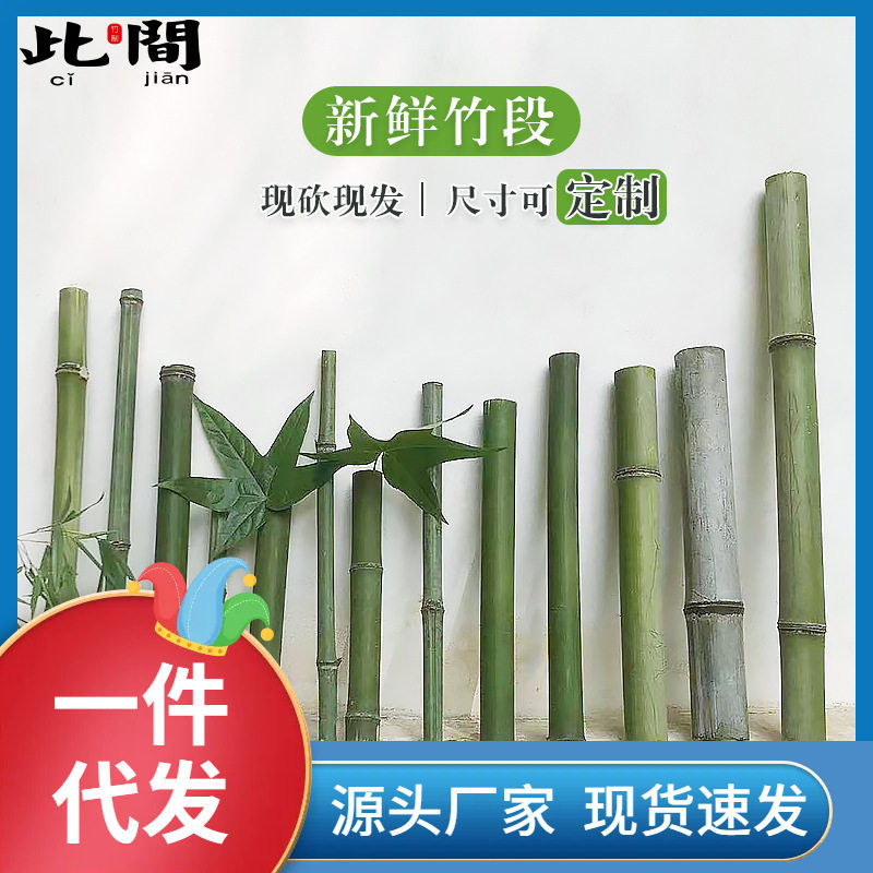 批发?新鲜竹段竹排竹竿小竹子婚庆花艺装饰园林支架果园竹棒大小