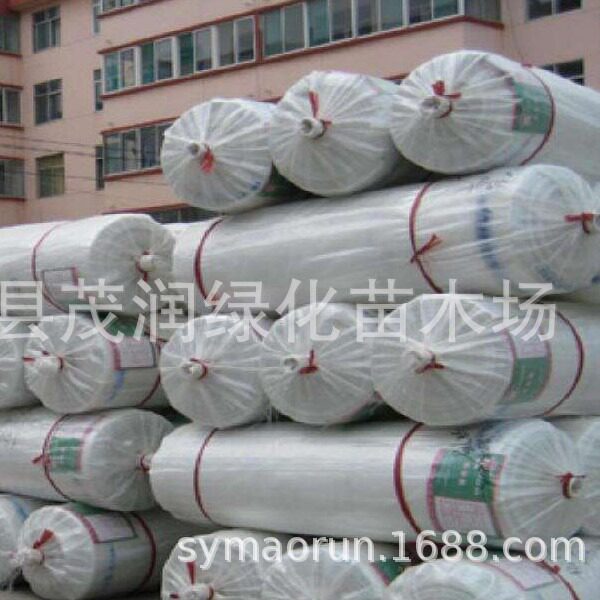农用棚膜 塑料薄膜 透明薄膜 无滴膜塑料大棚膜厂家直销