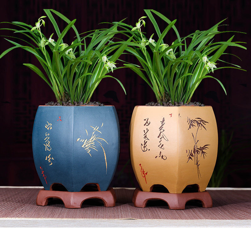 花盆兰花盆君子兰墨兰四季兰盆景盆多肉植物绿萝盆栽花卉家居摆设