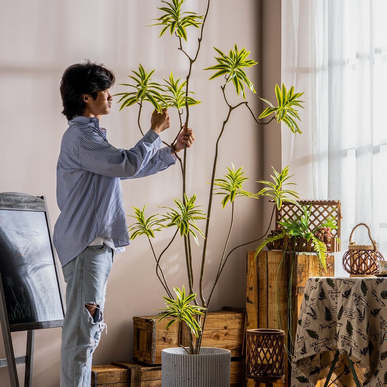 北欧风网红百合竹绿植植物假树盆栽室内客厅造景装饰摆件