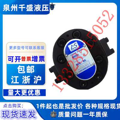 L.S液压油泵LS1-19C-AR GH1-19W-FR工业机械润滑化工泵GH1-15C-LR