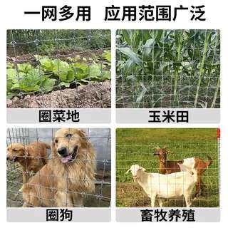 镀锌铁丝网围栏栅栏户外养殖防护钢丝网拦牛羊圈果园鱼塘铁网格网