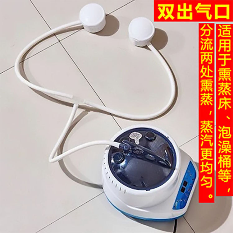 (双通道出气口)批发汗蒸箱家用桑拿浴熏蒸仪满月发汗熏蒸机全身