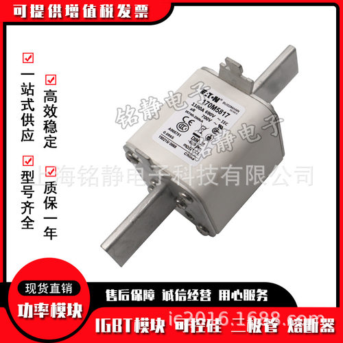 熔断器保险丝170M5957-5961