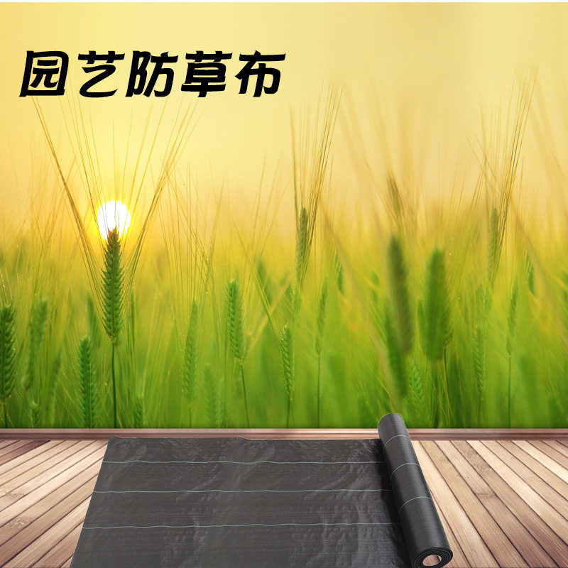 防草布除草布耐用遮草布果树果园种植防草布地布批发厂家直销pp