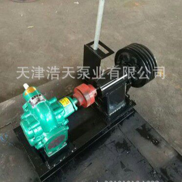 离合齿轮泵DLHB  离合沥青齿轮泵  离合柴油机齿轮泵 离合燃油泵