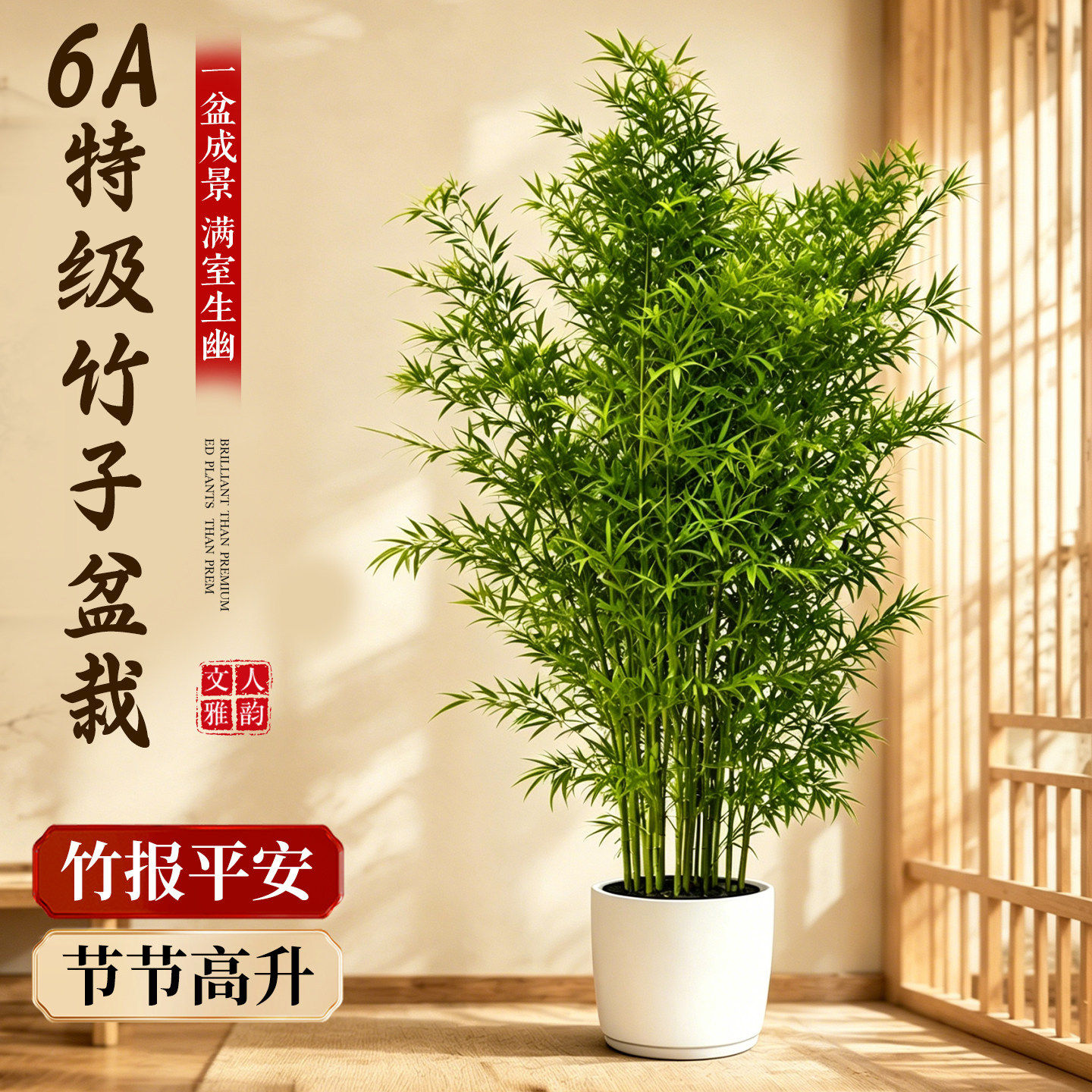 竹子盆栽室内茶室绿植客厅盆景阳台大型真树四季常青好养造景植物