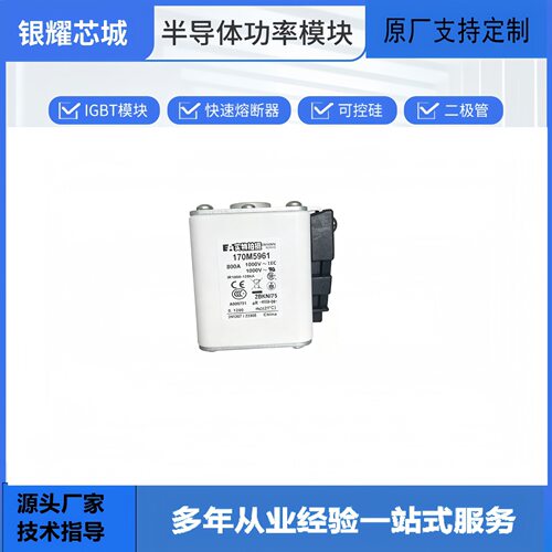 170M5961快速熔断器保险丝熔丝熔芯保险丝底座现货
