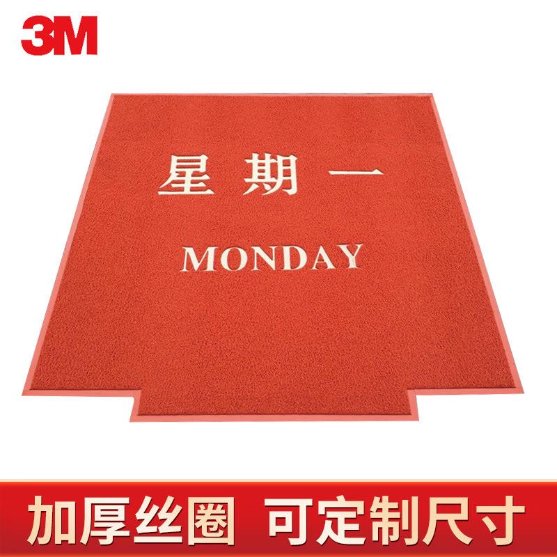 进口3M郎美6050型丝圈地毯酒店迎宾地垫进门大门口防滑除尘脚垫