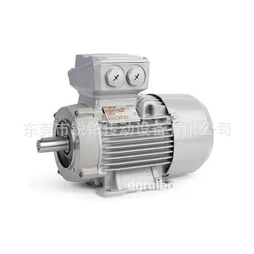 Rotor电动机荷兰原装 5RN90L 6RN100L铸铁铝壳IE1 IE2 IE3马达