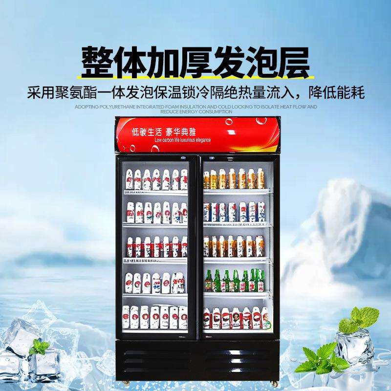 饮料啤酒冰柜商用冷冻冰箱大容量保鲜柜立式双门酒水冷藏展示柜