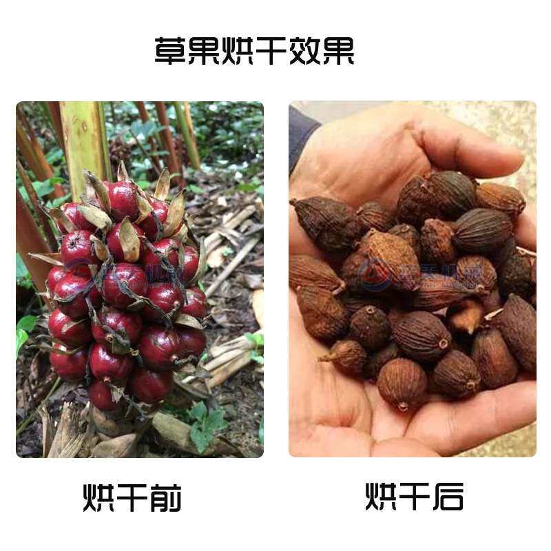 云南草果烘干机电加热 小型草果仁草果子烘干箱 全智能草寇烘干房