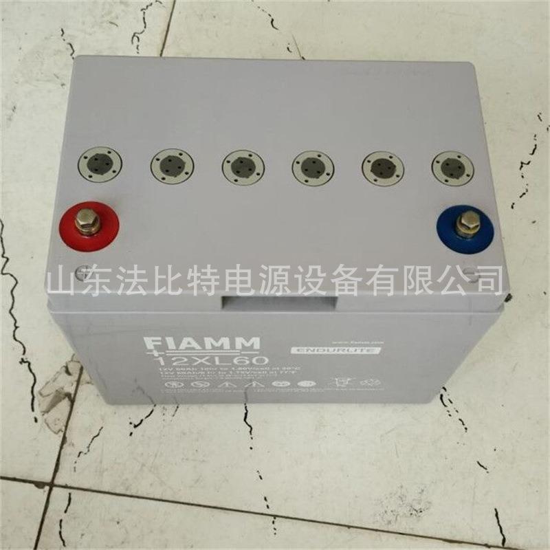 非凡铅酸蓄电池12XL60免维护蓄电池12V60Ah轨道交通12XL60
