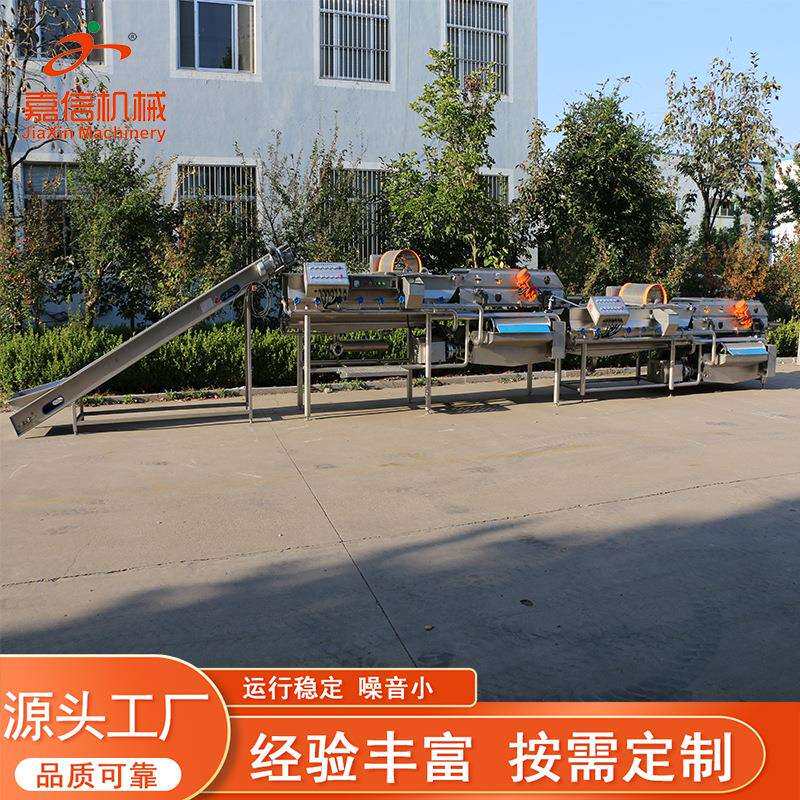 大型涡流清洗机生产厂家 净菜加工设备 半成品蔬菜加工设备厂家