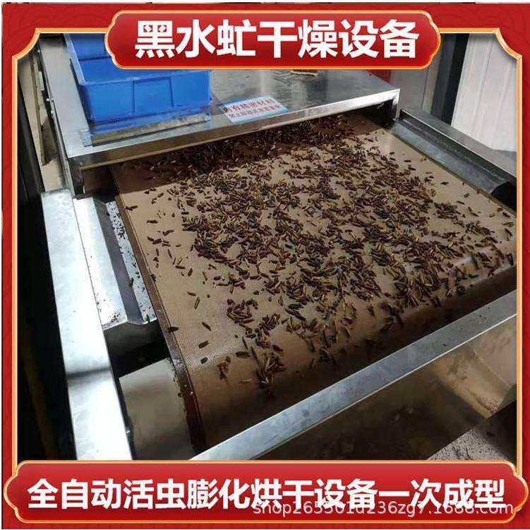 广东黄粉虫大麦虫烘干设备 流水线黑水虻微波烘干机