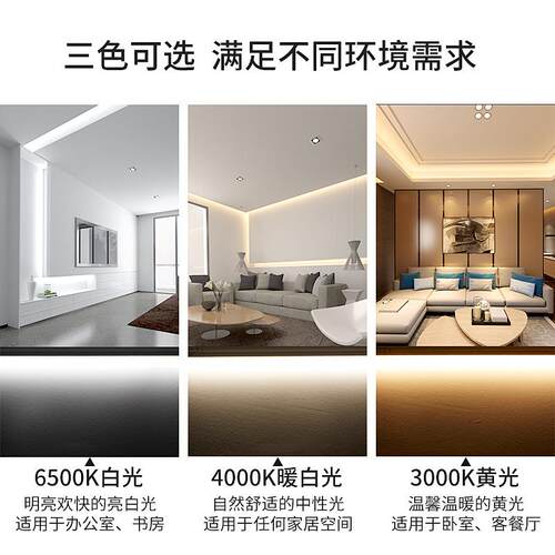 高色温光效灯管led10000-12000流氓t8t5分体一体化感应雷达微波