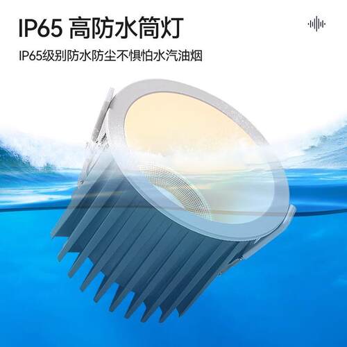 OSRAM欧司朗Ra95高显色防眩光嵌入式led天花灯 高光效cob防水筒灯