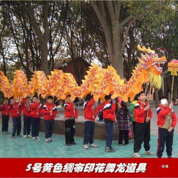 5号中小学生儿童舞龙舞狮道具绸缎布龙舞龙灯服装龙头9节钢丝圈龙