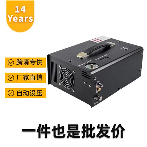 12V车载卧式自动停机打气机