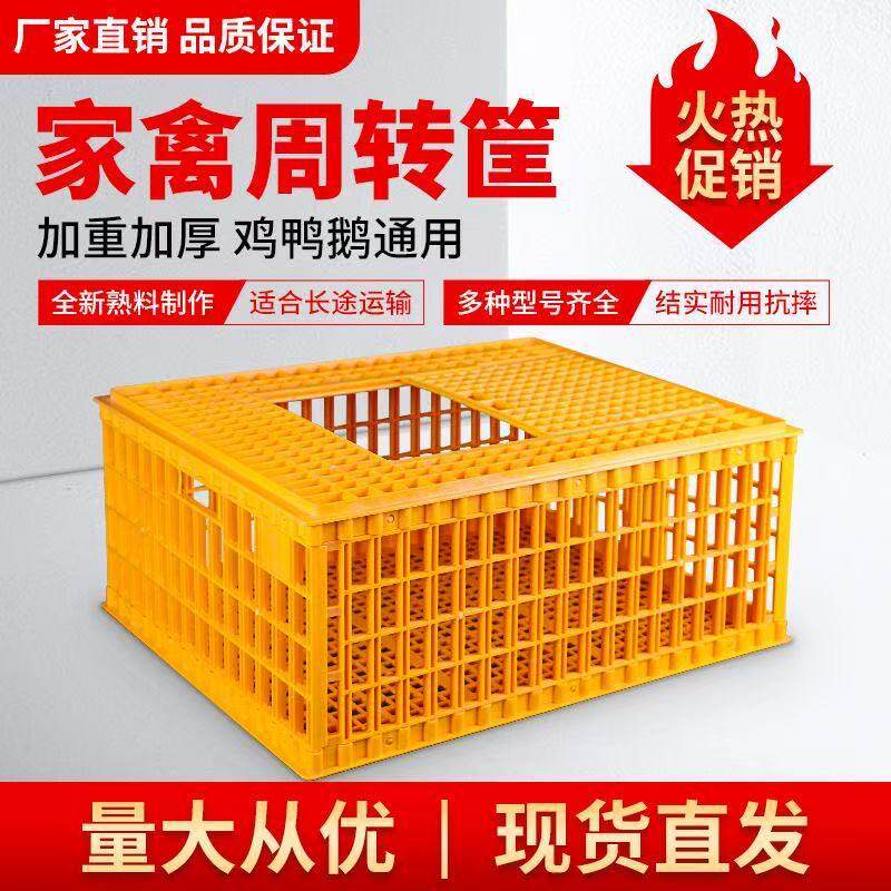 大号周转筐家禽大型运输笼养殖专用厂家批发鸡鸭鹅加厚塑料鸡笼