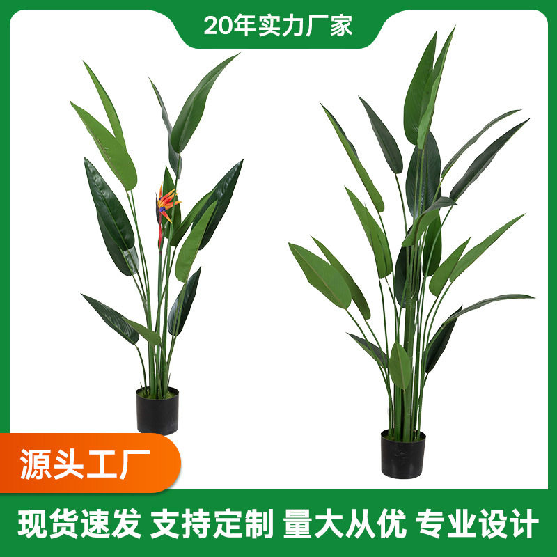 仿真植物鹤望兰带花盆栽北欧风天堂鸟假绿植室内客厅玄关摆件批发