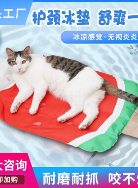 宠物冰垫夏季狗狗猫咪冰窝凝胶凉窝耐抓降温解暑神器护颈狗窝批发